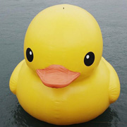 pvc inflatable duck